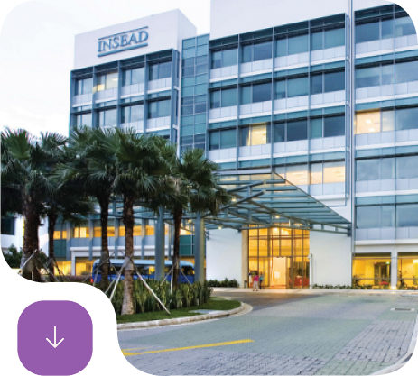 INSEAD Excellence